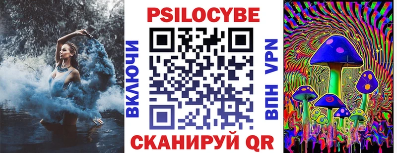 Псилоцибиновые грибы Psilocybe  наркота  Вытегра 